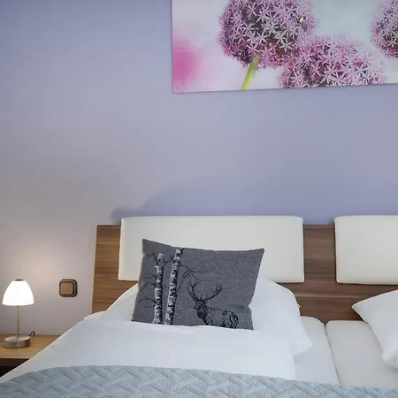 Apartamento Deichhof 3a 5 *